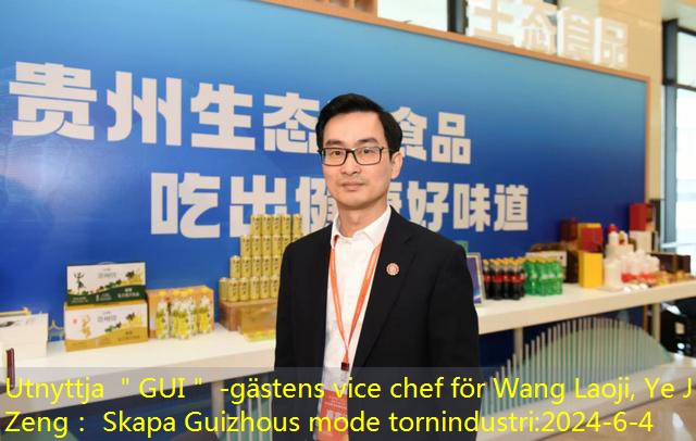 Utnyttja ＂GUI＂ -gästens vice chef för Wang Laoji, Ye Ji Zeng： Skapa Guizhous mode tornindustri